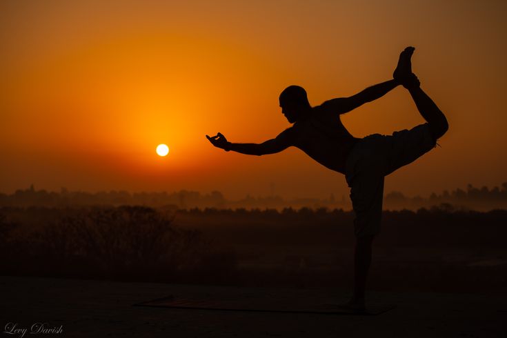 El Despertar de la Gaviota: 5 Minutos de Estiramiento para la Postura Perfecta